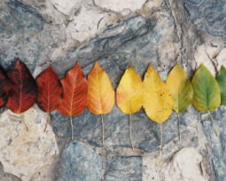 45+ Quotes About Change That Depicts Life's Transitions