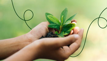 45+ Quotes About Growth To Inspire You To Achieve Your Goal