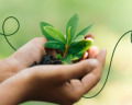 45+ Quotes About Growth To Inspire You To Achieve Your Goal