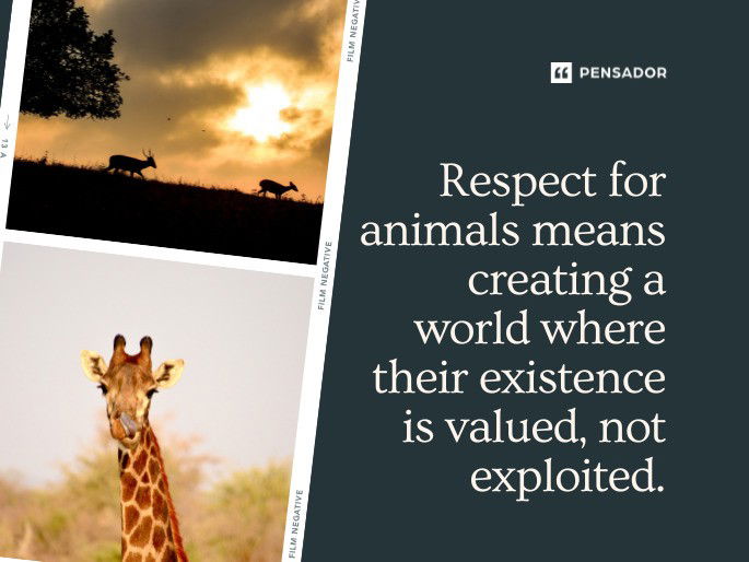 Respect for animals means creating a world where their existence is valued, not exploited.