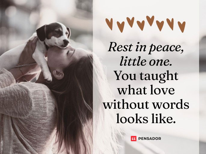 Rest in peace, little one. You taught what love without words looks like.