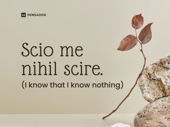 Scio me nihil scire.  (I know that I know nothing)