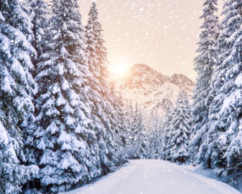 70 Snow Quotes To Embrace The Beauty Of Winter