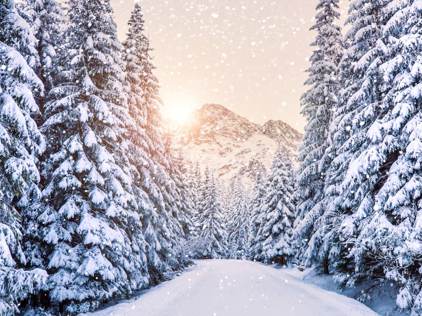 70 Snow Quotes To Embrace The Beauty Of Winter - Pensador