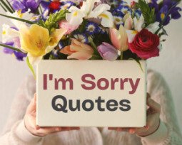 135+ I'm Sorry Quotes to Mend Broken Hearts and Relationships