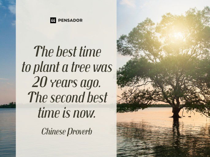 The best time to plant a tree was 20 years ago. The second best time is now. Chinese Proverb