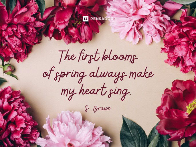 The first blooms of spring always make my heart sing. S. Brown