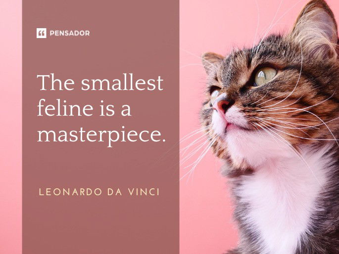 The smallest feline is a masterpiece.  Leonardo da Vinci