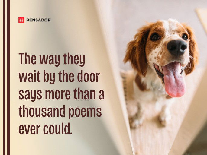 The way they wait by the door says more than a thousand poems ever could.