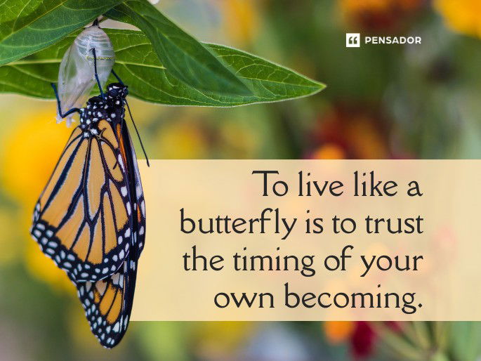 To live like a butterfly is to trust the timing of your own becoming.