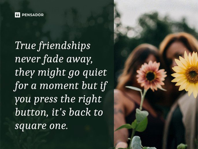 True friendships never fade away, they might go quiet for a moment but if you press the right button, it‘s back to square one.