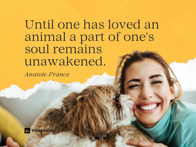 Until one has loved an animal a part of one‘s soul remains unawakened. Anatole France