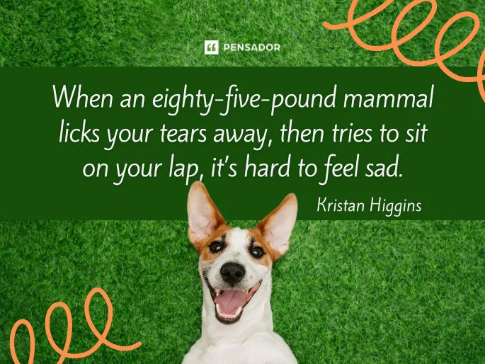 When an eighty-five-pound mammal licks your tears away, then tries to sit on your lap, it’s hard to feel sad.  Kristan Higgins