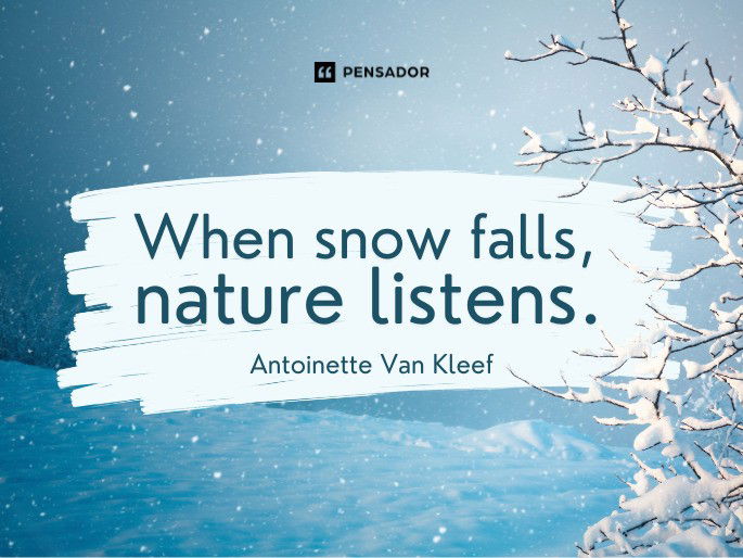 When snow falls, nature listens.  Antoinette Van Kleef