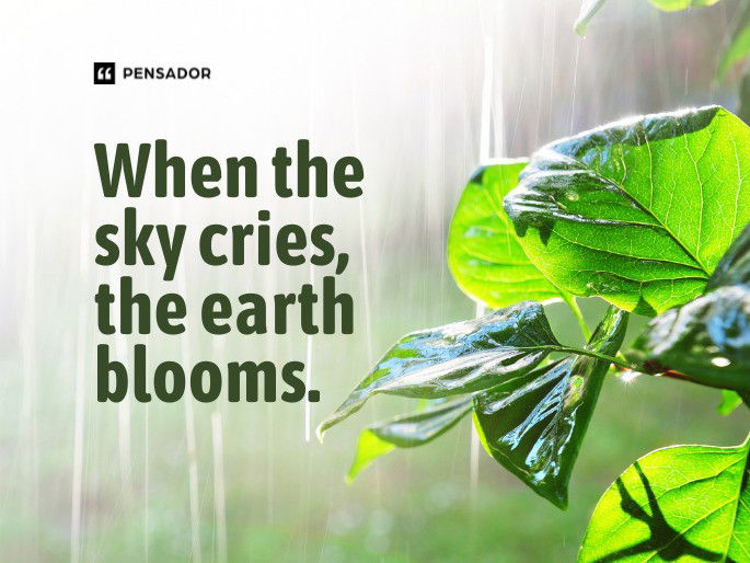 When the sky cries, the earth blooms.