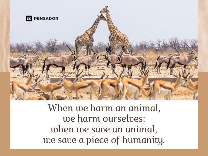 When we harm an animal, we harm ourselves; when we save an animal, we save a piece of humanity.