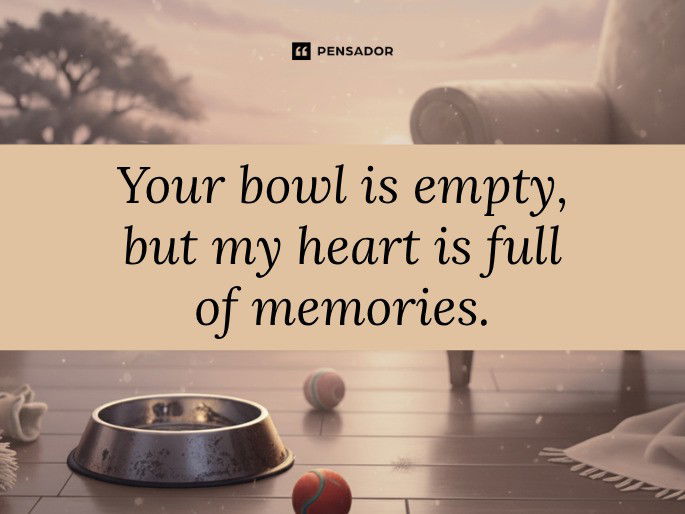 Your bowl is empty, but my heart is full of memories.