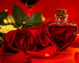 11 meses de novios: frases para dedicar y sorprender a tu amorcito