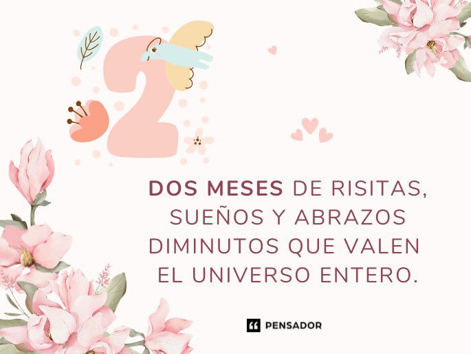 2 meses de risitas