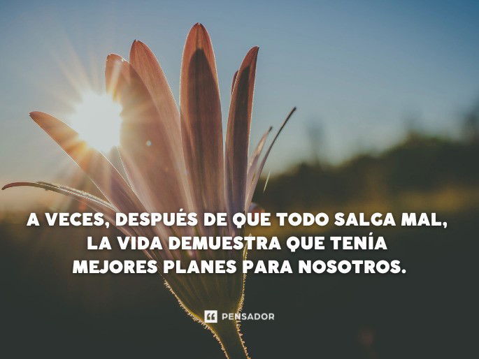 A veces, después de que todo salga mal,  la vida demuestra que tenía  mejores planes para nosotros.