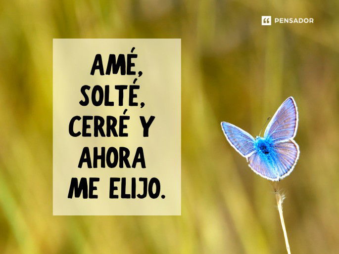 ame solte