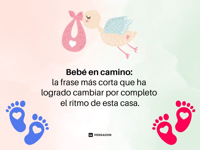 bebe en