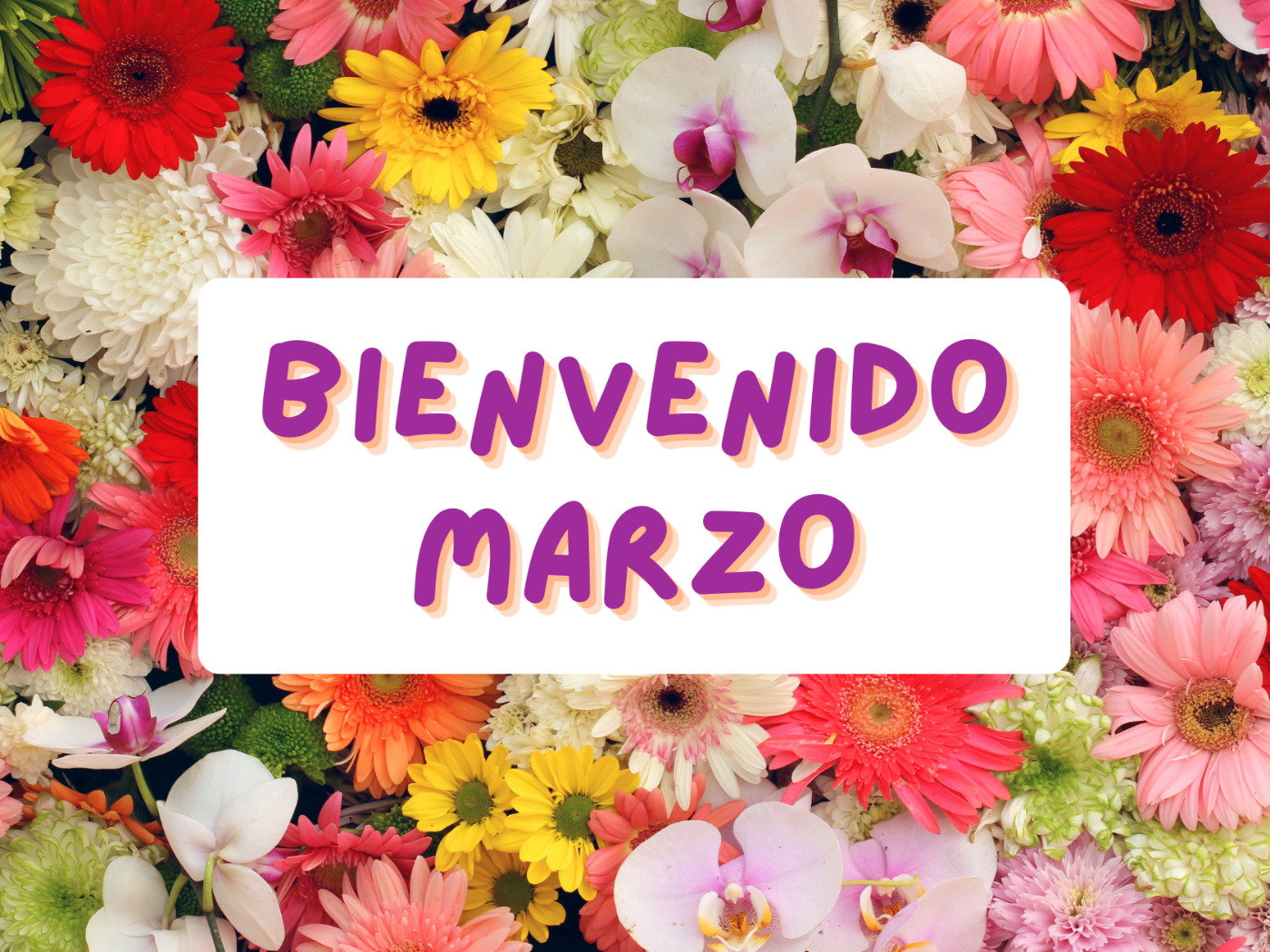 bienvenida-de-nuevo-primavera
