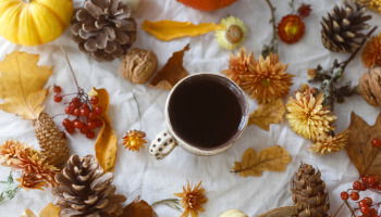 Bienvenido noviembre: 31 frases bonitas que celebran su llegada