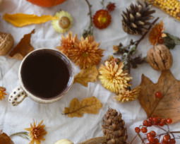 Bienvenido noviembre: 31 frases bonitas que celebran su llegada