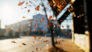 Bienvenido septiembre: 34 frases para empezar el mes con esperanza y energía