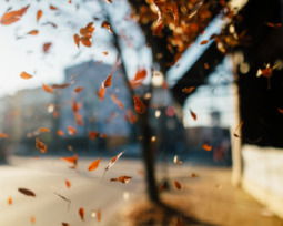 Bienvenido septiembre: 34 frases para empezar el mes con esperanza y energía