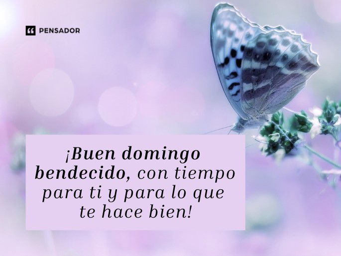 buen domingo bendecido