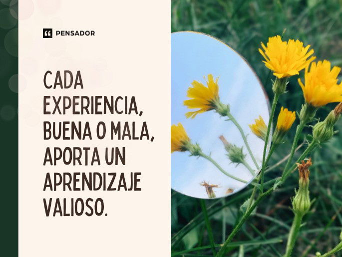 Cada experiencia, buena o mala, aporta un aprendizaje valioso.