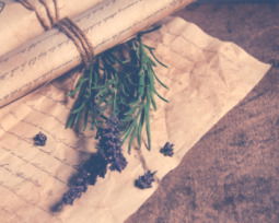 Carta a mis padres: ejemplos para expresar lo que no siempre se dice