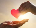 Cartas de feliz aniversario mi amor: palabras que tocan el corazón