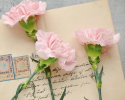 11 cartas de amor para sorprender a esa persona especial