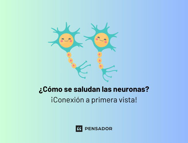 como se saludan las neuronas