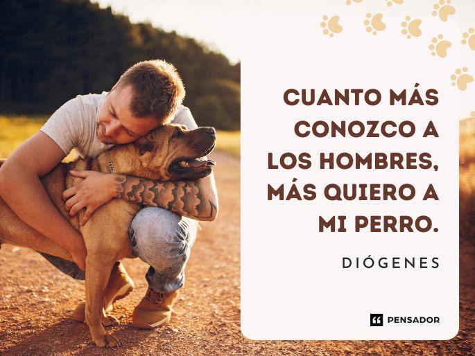 Cuanto más conozco a los hombres, más quiero a mi perro. Diógenes