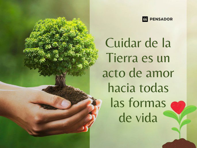 Cuidar de la Tierra es un acto de amor hacia todas las formas de vida