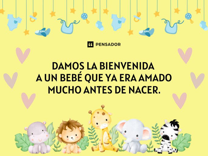 damos la bienvenida a