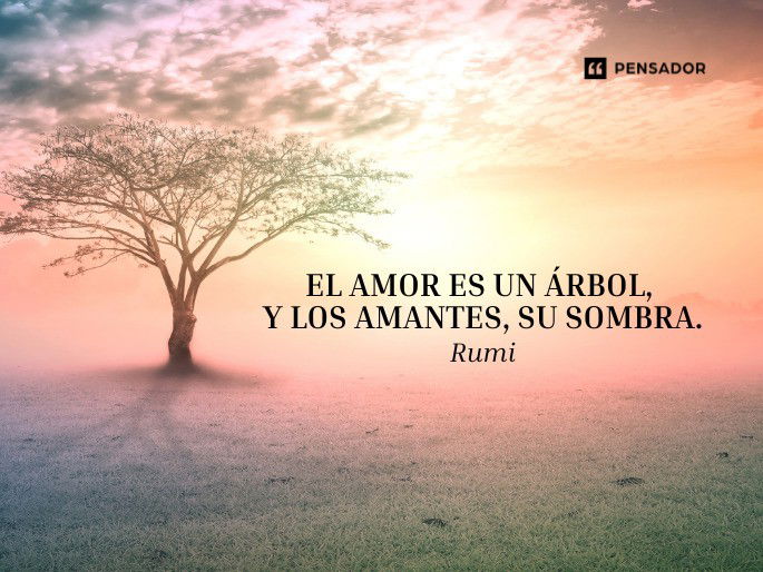 el amor es un arbol