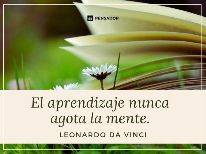 El aprendizaje nunca agota la mente. Leonardo da Vinci