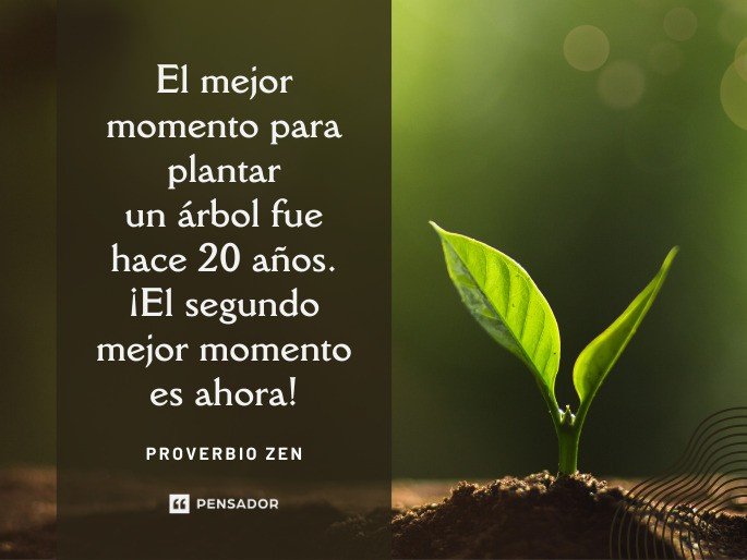 El mejor momento para plantar un árbol fue hace 20 años. ¡El segundo mejor momento es ahora! Proverbio Zen