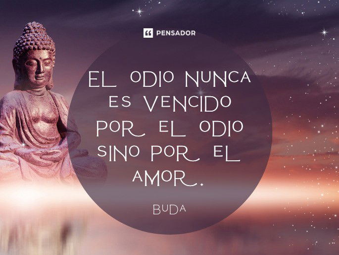 El odio nunca es vencido por el odio sino por el amor. Buda