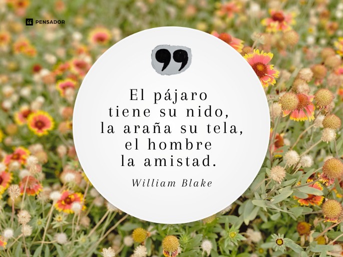 el pajaro