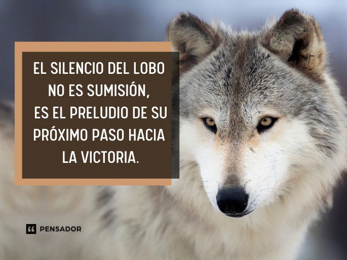 el silencio del