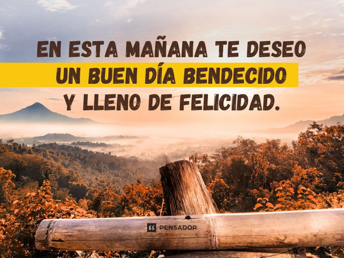 felicidad frases y pensamientos