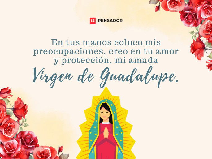 En tus manos coloco mis preocupaciones, creo en tu amor y protección, mi amada Virgen de Guadalupe.