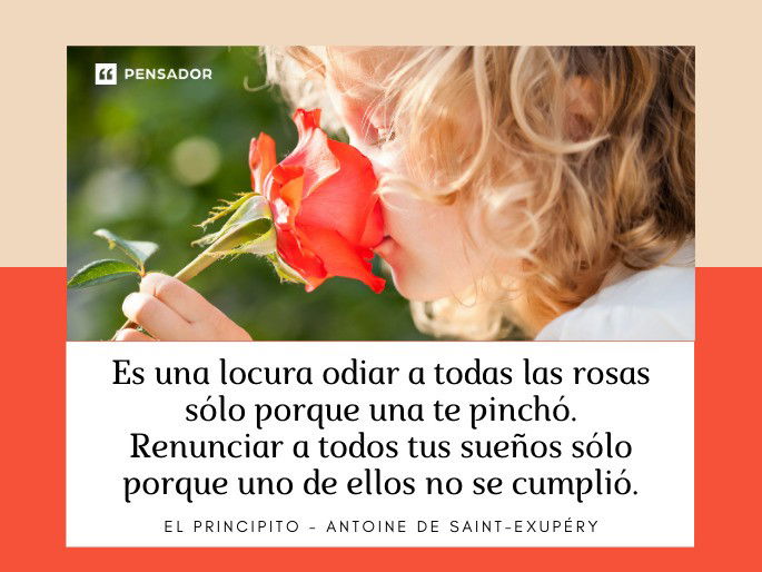 Es una locura odiar a todas las rosas sólo porque una te pinchó. Renunciar a todos tus sueños sólo porque uno de ellos no se cumplió. El Principito - Antoine de Saint-Exupéry