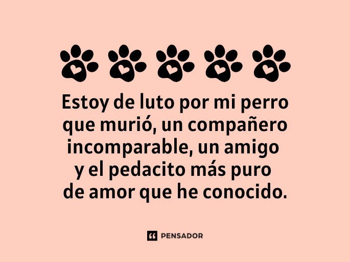 estoy de luto por